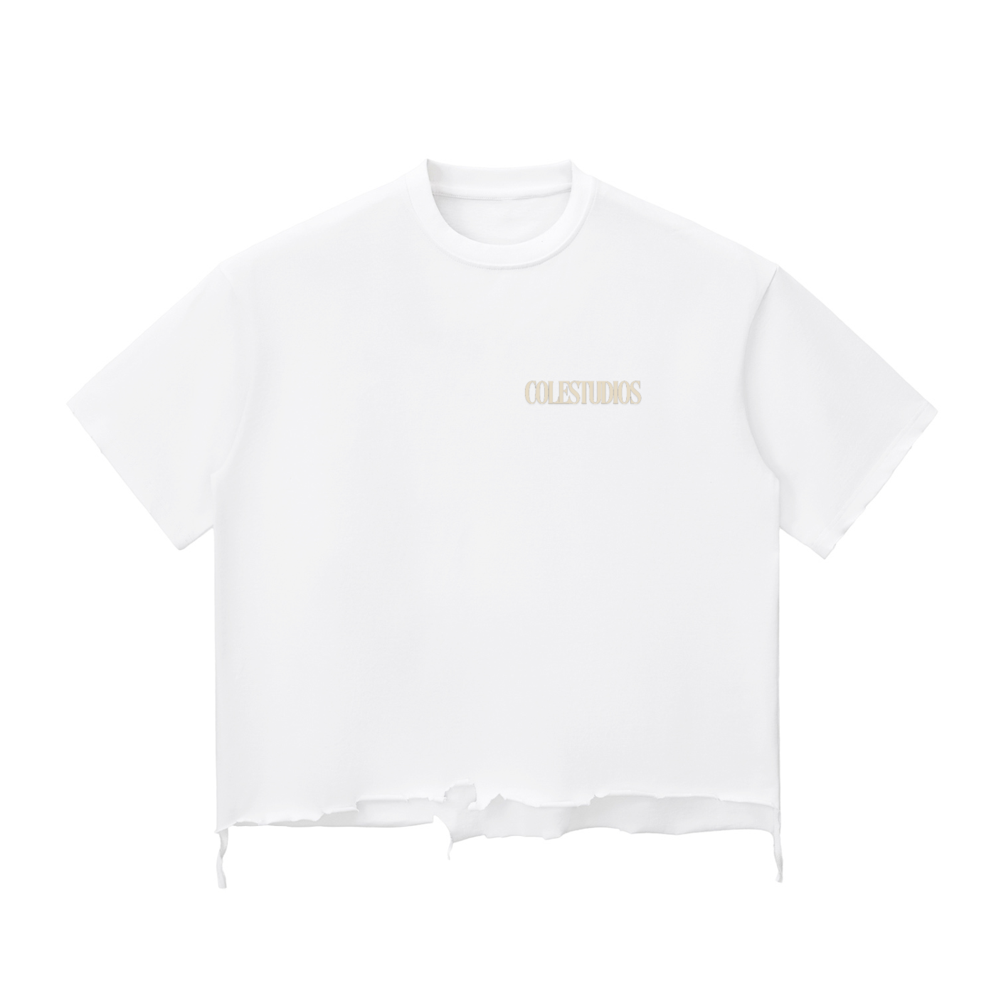 Snow Wash Raw-Hem Boxy T-shirt
